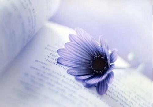 ������һ���������˸�