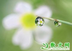 ��¶����