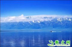 ��������ľ��