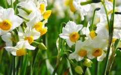 ����������ˮ����ů��