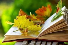 ������������ĸ�