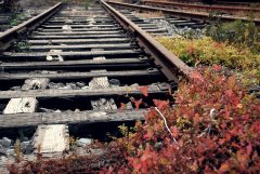 ���ʱ�ķ羰����������