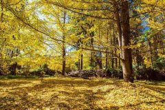 ˭���������������·��