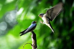 �������