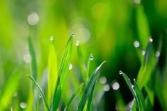 �峿������