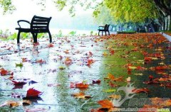 ��ҹ������һ������