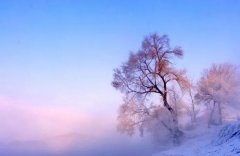 ѩ���޺����氮����