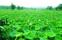 ������������дʫ