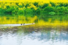 ���������壩