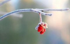 �����ϴ���˪��