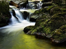 ÿ����ҪΪ�Լ�����Ϊ��������