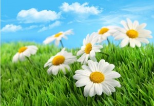 ����������ں��㹲�ȵ��Ƕ�ʱ��