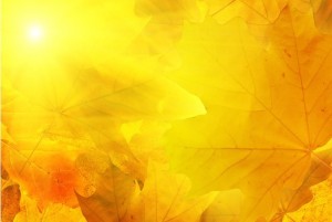 ���������������������������ɲ���Ϊ��ÿ�쿴������Щ�����ö�