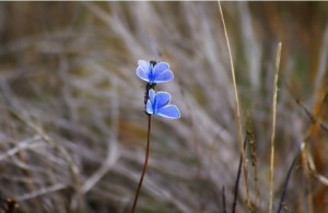 ����֮��ȱ�ٱ˴�һ����ů��ӵ��