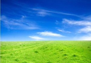 һ����ʫ��һ���δ���һ��������������ǰ�������ľ���