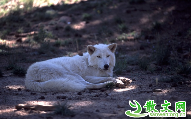 ��û��ô����ڣ�����ô��������Զû���������ô��Ҫ