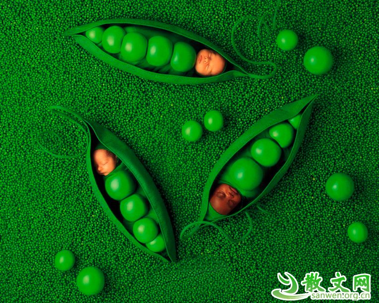 ���������ܴ������Ƕ����