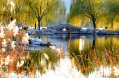 һ����������į����