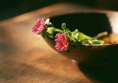 �����Ʊ�